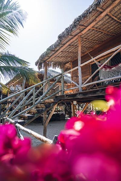 Pousada Bgk Barra Grande  Extérieur photo